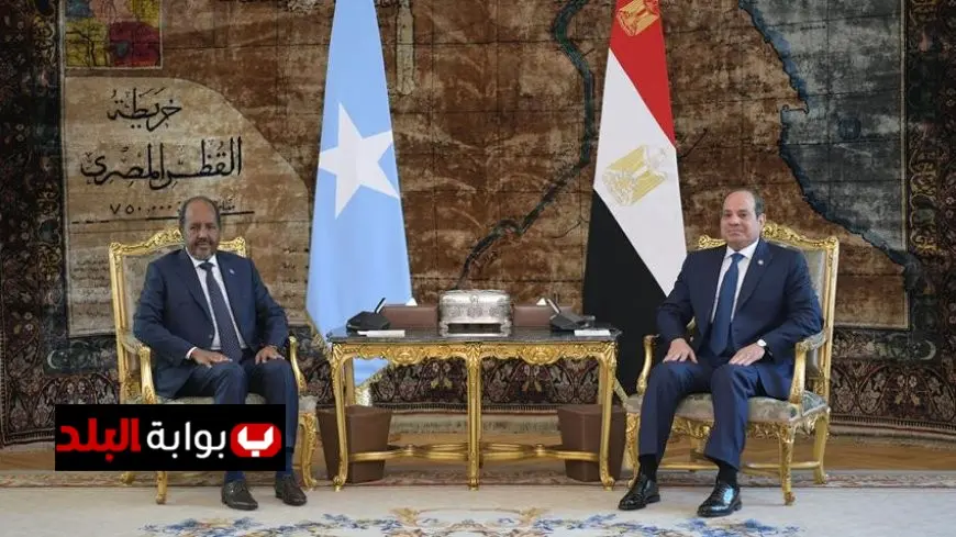الرئيس السيسي يلتقي نظيره الصومالي لمناقشة الأوضاع الإقليمية الهامة