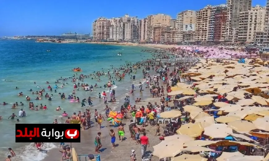 “الإسكندرية تضع اشتراطات جديدة لحماية المصطافين على الشواطئ: إليك التفاصيل”