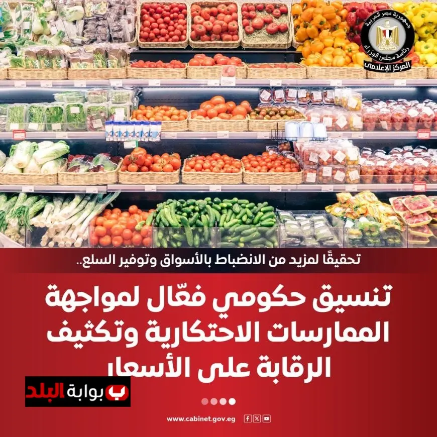 تنسيق حكومي قوي لمكافحة الممارسات الاحتكارية وتعزيز الرقابة على الأسعار في الأسواق