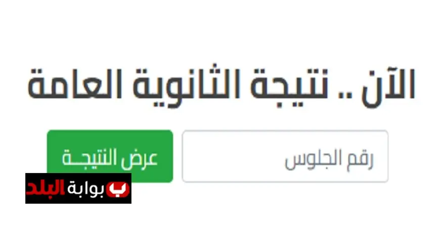 نتيجة الثانوية العامة 2025.. الموعد الرسمي والرابط وخطوات الاستعلام عبر موقع وزارة التربية والتعليم