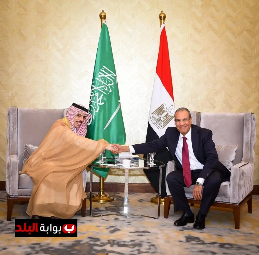 وزيرا خارجية مصر والسعودية يناقشان آخر مستجدات الأوضاع في غزة وسوريا