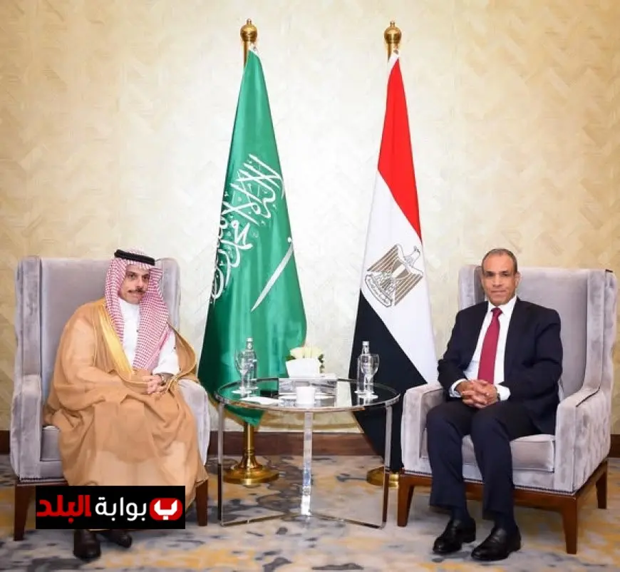 وزير الخارجية يشدد على رفضه القاطع لأي محاولات تهدد العلاقات المصرية السعودية