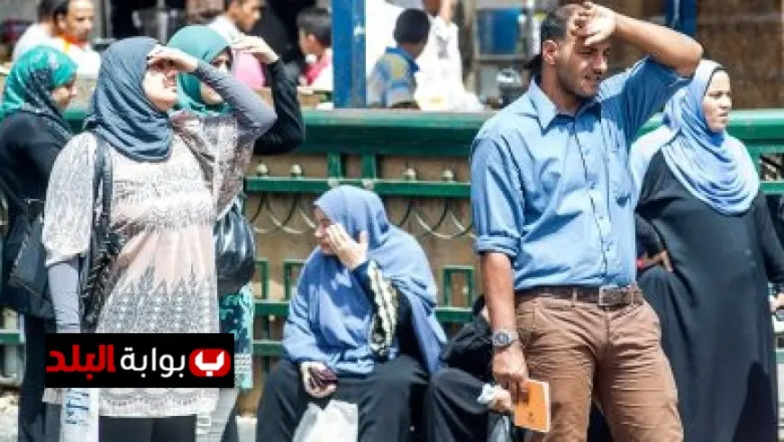التسجيل في تنسيق الدبلومات الفنية 2025: تعرف على الكليات والمعاهد المتاحة وروابط التسجيل الرسمية!