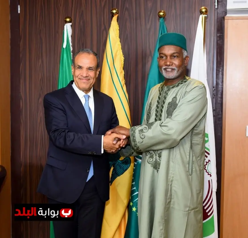 اجتماع استراتيجي بين وزير الخارجية ونظيره النيجيري لتعزيز التعاون الإفريقي وتوسيع آفاق الشراكة