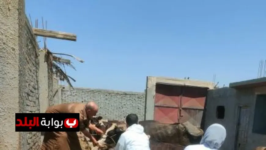اكتشف رابط نتيجة الثانوية العامة 2025 للفرعين العلمي والأدبي مع نسبة نجاح مذهلة تبلغ 79.2%!