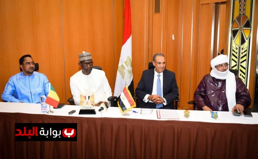 وزير الخارجية يجتمع بخريجي الجامعات المصرية في مالي لتعزيز العلاقات والقيم الثقافية