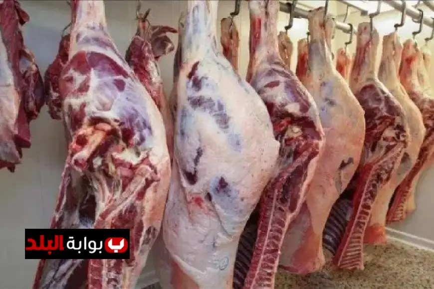 أسعار اللحوم الحمراء تتصدر الأسواق اليوم الجمعة 25 يوليو 2025: كل ما تحتاج معرفته!