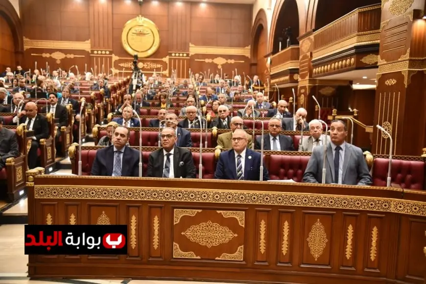 صوتك هو المفتاح.. كل ما تحتاج معرفته عن المشاركة في انتخابات مجلس الشيوخ 2025