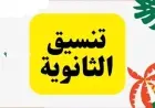 لو ابنك في الإعدادية.. اعرف من محافظ الجيزة تفاصيل المرحلة التانية لتنسيق الثانوي العام