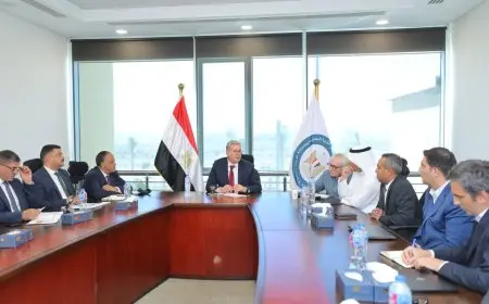 وزير البترول يناقش مع شركات عالمية استراتيجيات تنفيذ مشروع المسح الجوي لتحديث بيانات الثروات المعدنية في مصر