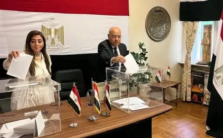 المصريون في النرويج يستمرون في الإدلاء بأصواتهم في انتخابات مجلس الشيوخ 2025