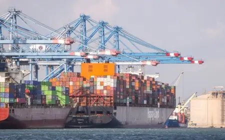 ميناء دمياط يستقبل أكثر من 41 ألف طن من القمح لتعزيز المخزون الاستراتيجي للسلع الأساسية