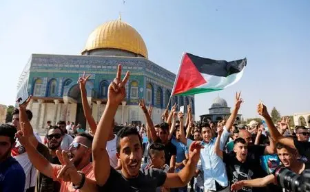 رئيس فنلندا يؤكد قبوله الاعتراف بدولة فلسطين إذا قدمت الحكومة مقترحا بذلك