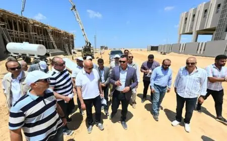 وزير الإسكان يقوم بجولة تفقدية لمرافق الأراضي الصناعية وكوبري القطار السريع في برج العرب الجديدة