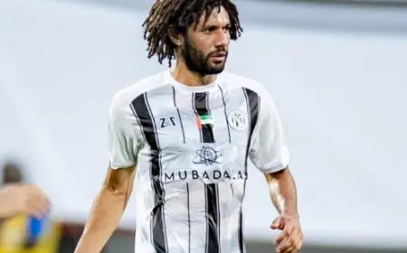 النني ينافس على جائزة أفضل لاعب في الدوري الإماراتي لعام 2023