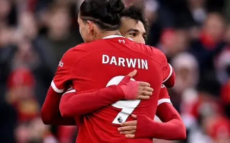 صراع مثير بين الأندية الأوروبية والسعودية للظفر بتوقيع داروين نونيز