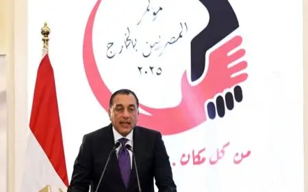 رئيس الوزراء يؤكد أهمية رعاية المصريين في الخارج كأولوية قصوى للدولة