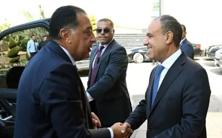 رئيس الوزراء يفتتح النسخة السادسة من مؤتمر المصريين بالخارج بحضور مميز