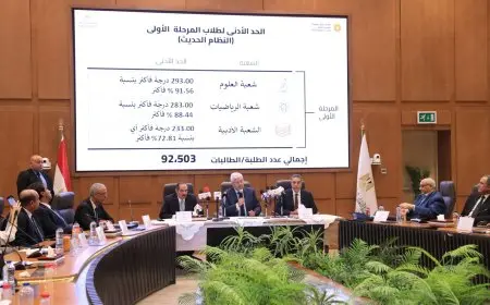 التعليم العالي تحدد الحدود الدنيا للقبول في التخصصات العلمية للنظام الحديث