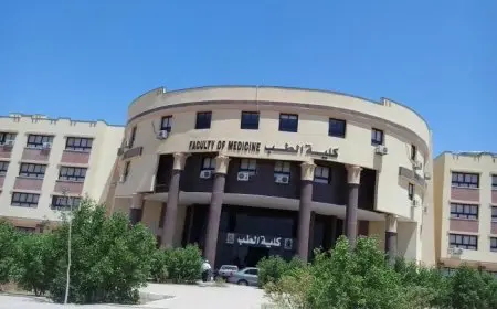 نتيجة تنسيق المرحلة الأولى 2025 النسب المئوية لأعلى كليات علمي وأدبي