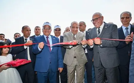 وزير الكهرباء ورئيس الهيئة العربية يطلقان خط إنتاج أبراج كهرباء الجهد العالي والفائق في مصنع الطائرات