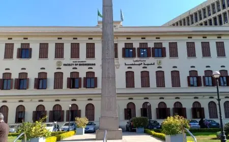 اعرف نتيجة تنسيق المرحلة الأولى 2025 والحدود الدنيا لكليات الهندسة مع تفاصيل محافظة الوادي الجديد الحاصلة على 287.5 درجة