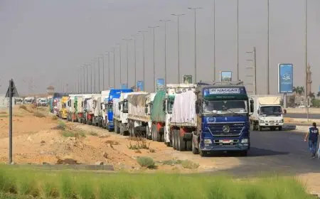 تكاليف المساعدات المصرية لغزة تصل إلى مليار دولار كما أوضح أحمد موسى بالأرقام