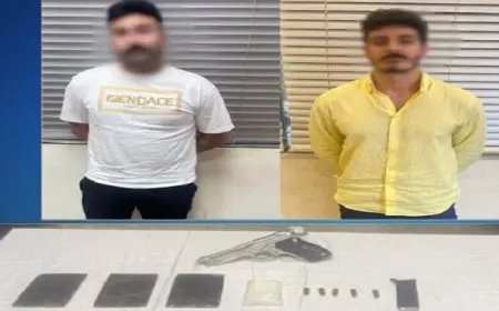 ابتكارات مدهشة في عالم التيك توك: نائب يكشف عن أرباح تصل إلى 70 ألف دولار شهريًا