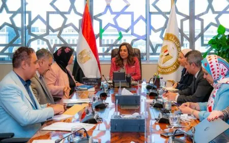 منال عوض تكشف عن تفاصيل الموازنة العامة لوزارة البيئة وأهم جهود صندوق حماية البيئة