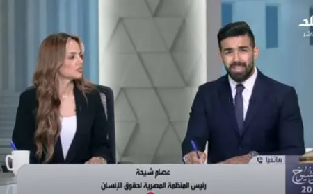 دور المنظمة المصرية لحقوق الإنسان في مراقبة الانتخابات يشرحه عصام شيحة