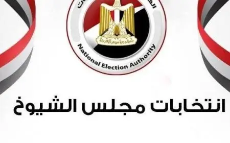 رئيس الجمهورية يعين 100 عضو بمجلس الشيوخ تعرف على شروط التعيين ومتطلباته