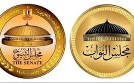 اكتشف الفرق بين مجلس النواب ومجلس الشيوخ مع أستاذ القانون الدولي