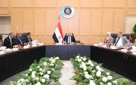 وزير الصناعة يناقش مع كبار مصنعي الحديد وشركات السيارات استراتيجيات توطين صناعة صاج المركبات