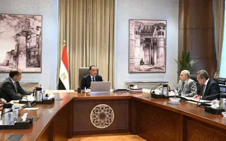 مدبولي يستعرض استراتيجيات مبتكرة لإعادة هيكلة الهيئات الاقتصادية