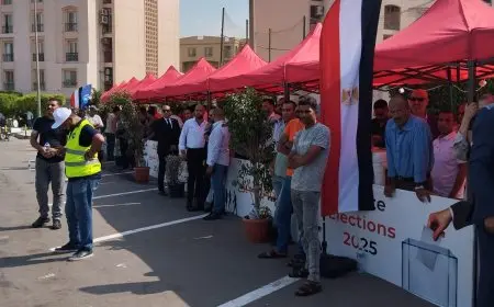 أحمد رفعت يصف المشهد الانتخابي بالإيجابي ويبرز دور الشباب البطل