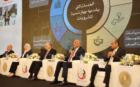 باسل رحمي يعلن عن فرص استثمارية واعدة للمصريين في الخارج في مجال المشروعات الصغيرة