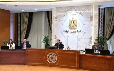 رئيس الوزراء يراقب آخر التطورات في آلية تعديل حدود الكربون لدعم صادرات البلاد