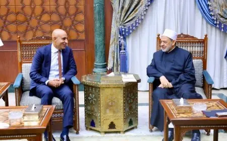 شيخ الأزهر ووزير التعليم يؤكدان أهمية استعادة هيبة المدرسة الحكومية