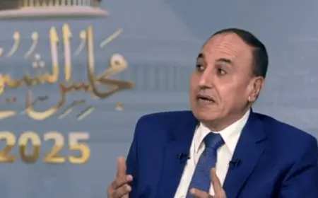 عبدالمحسن سلامة يؤكد أن دعوات إلغاء مجلس الشيوخ تهدد التجربة الديمقراطية وتعتبر خاطئة