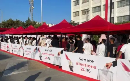 طنطا تنظم احتفالية مميزة لانتخابات الشيوخ بمشاركة شباب وأمن فعال