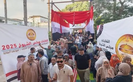 أحمد موسى يعلن مد فترة التصويت في 10 لجان بالقاهرة بسبب الإقبال الكبير