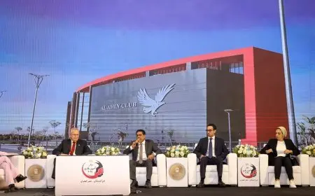 الأهلي يطلق مبادرات مبتكرة ومزايا فريدة لجذب المصريين في الخارج