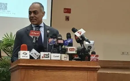 الوطنية للانتخابات تؤكد عدم وجود أي مخالفات في الدعاية الانتخابية لمجلس الشيوخ