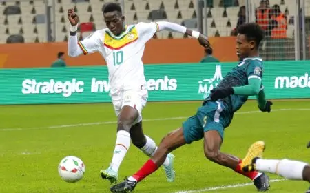 صدام قوي اليوم بين السنغال ونيجيريا في بطولة أمم أفريقيا للمحليين