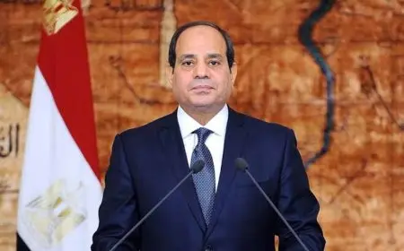 طارق فهمي يكشف كيف أفشلت تصريحات الرئيس السيسي محاولات تشويه الدور المصري