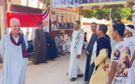 تصاعد الإقبال على التصويت في انتخابات الشيوخ بالدقي قبل إغلاق باب الاقتراع