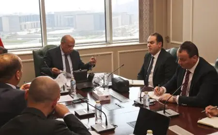 وزير الكهرباء يخطط لتوطين صناعة المعدات الكهربائية في إطار البرنامج النووي السلمي