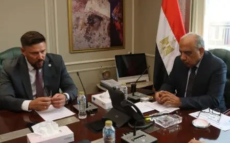 وزير الكهرباء يكشف عن توجيهات رئاسية لتعزيز سرعة نقل التكنولوجيا وتوطين الصناعة في مصر
