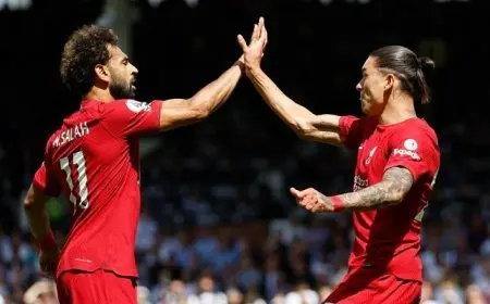 الهلال السعودي يقترب من إنهاء صفقة نجم أوروجواي داروين نونيز