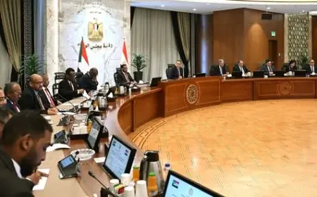 مصر والسودان تعلنان عن بيان مشترك لاستكشاف آفاق التعاون الثنائي